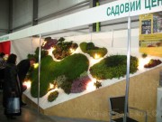 Выставочная-композиция