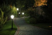 0J0A9902_2