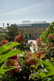 DEM_2923