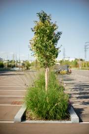 DEM_3082